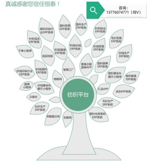 化解决方案增值服务公司,致力于为纺织行业信息化管理提供专业适用
